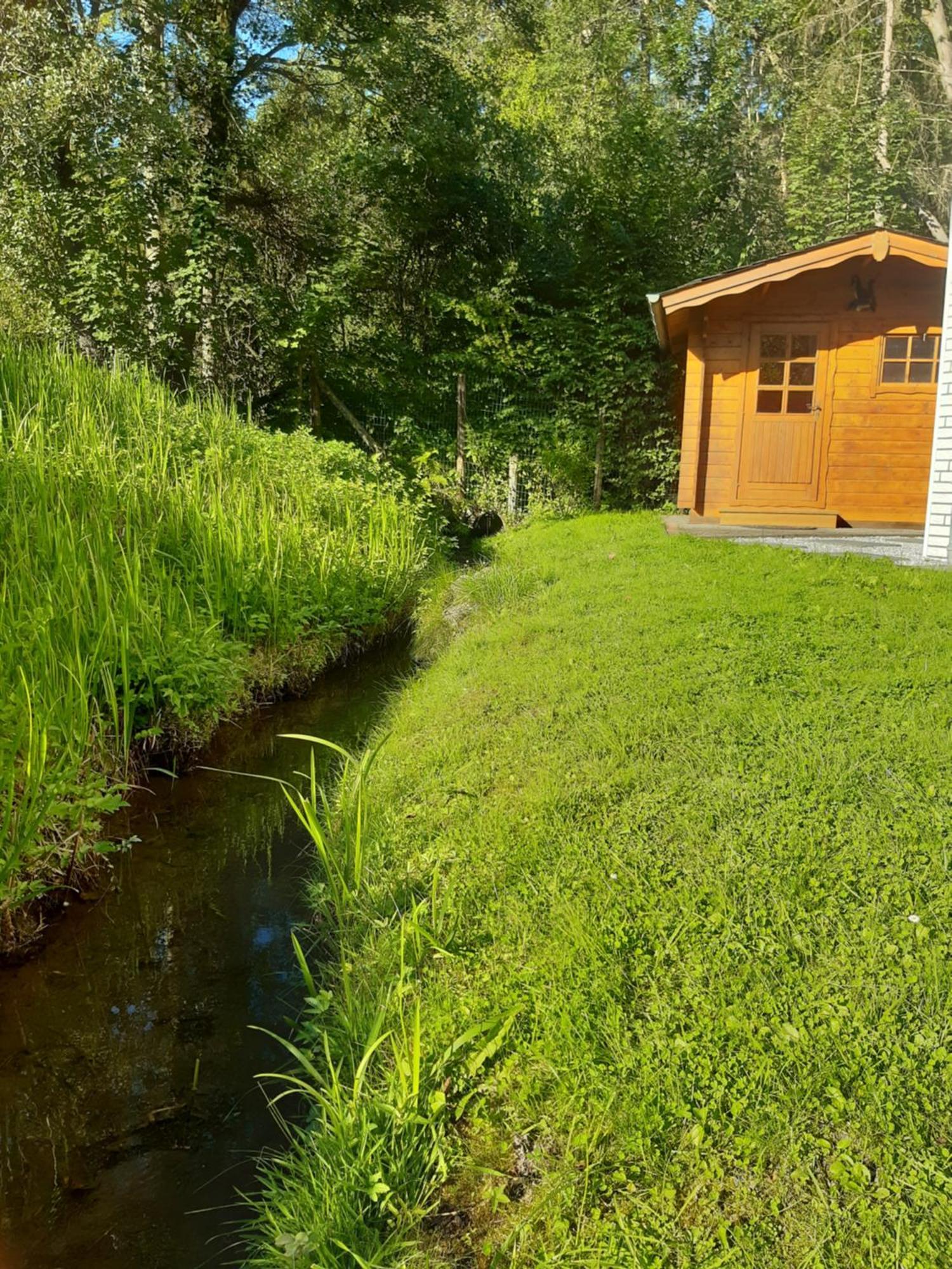 Ferienhaus Aanthuus Brilon Bagian luar foto