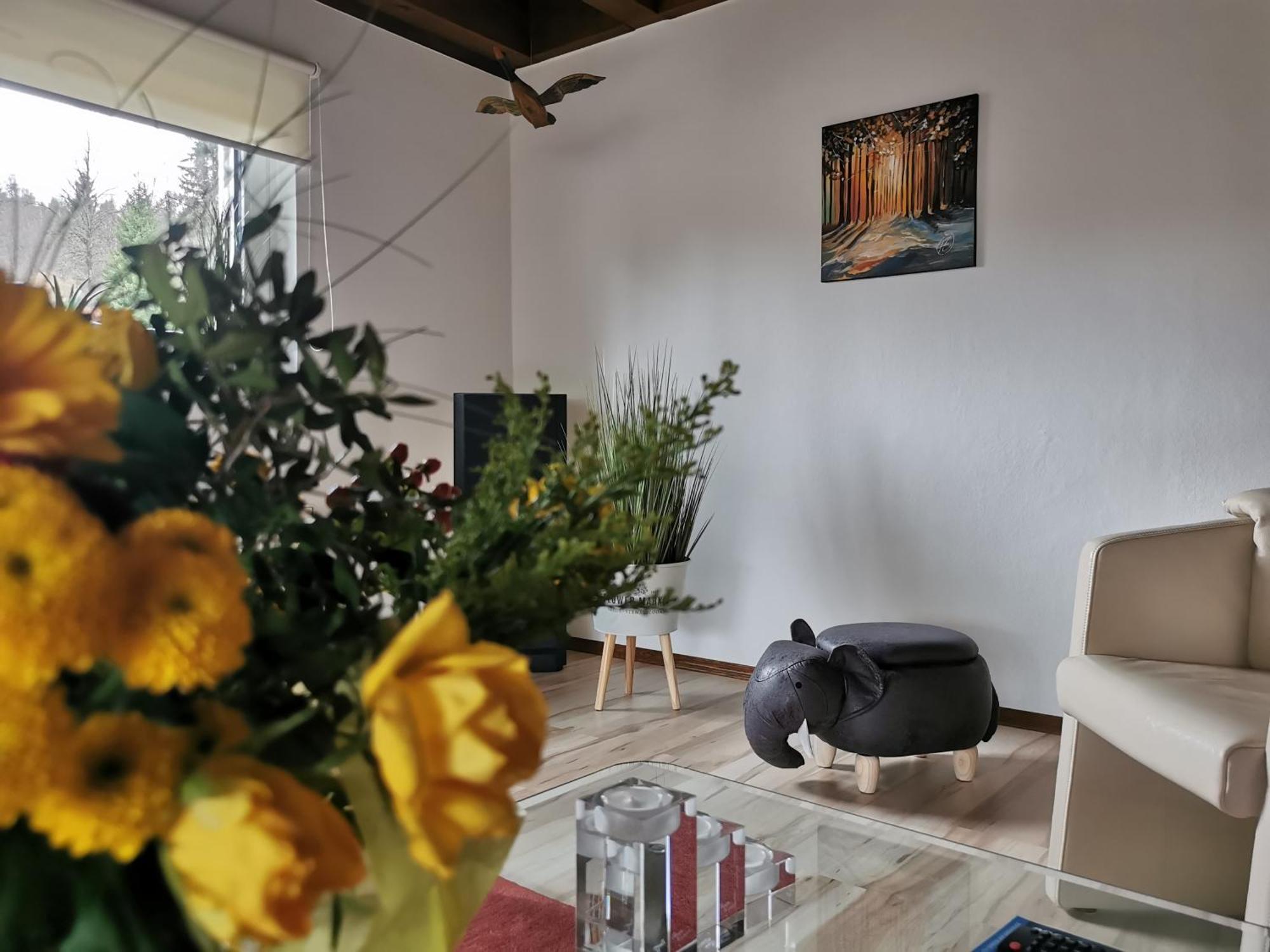 Ferienhaus Aanthuus Brilon Bagian luar foto