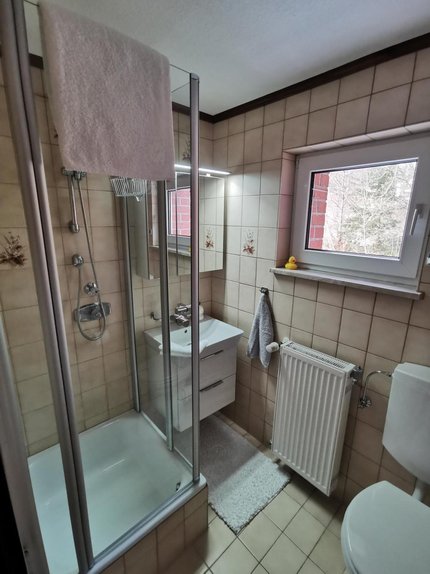 Ferienhaus Aanthuus Brilon Bagian luar foto